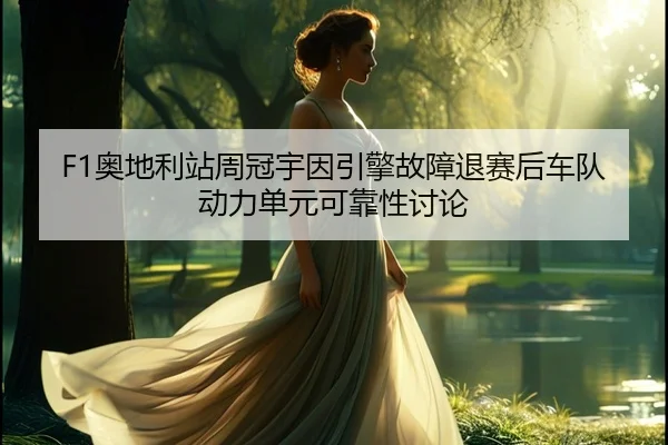 ao-di-li-zhan-zhou-guan-yu-yin-yin-qing-gu-zhang-tui-sai-hou-che-dui-dong-li-dan-yuan-ke-kao-xing-tao-lun-2-235.jpg